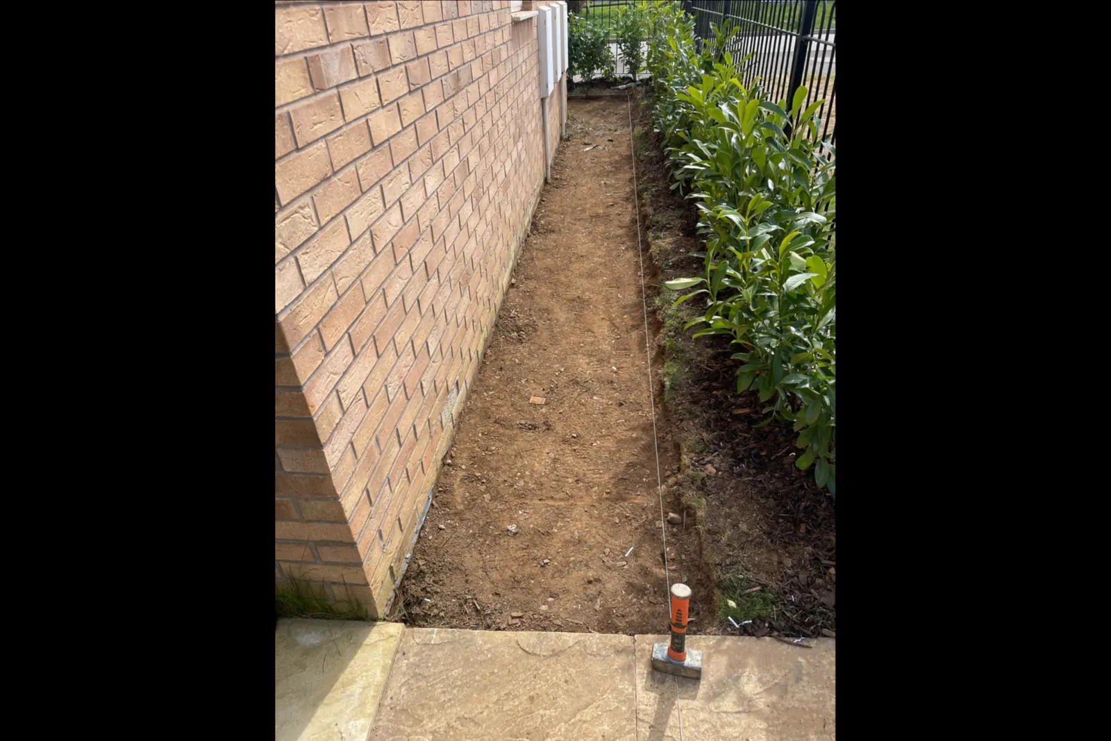 Garden path laid with paving